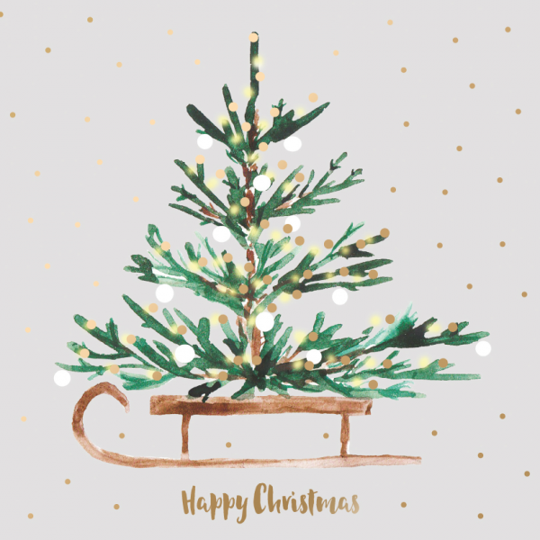 A stunning Christmas Tree Sledge card will look good one anyone’s mantelpiece.. Photo for fundraising store