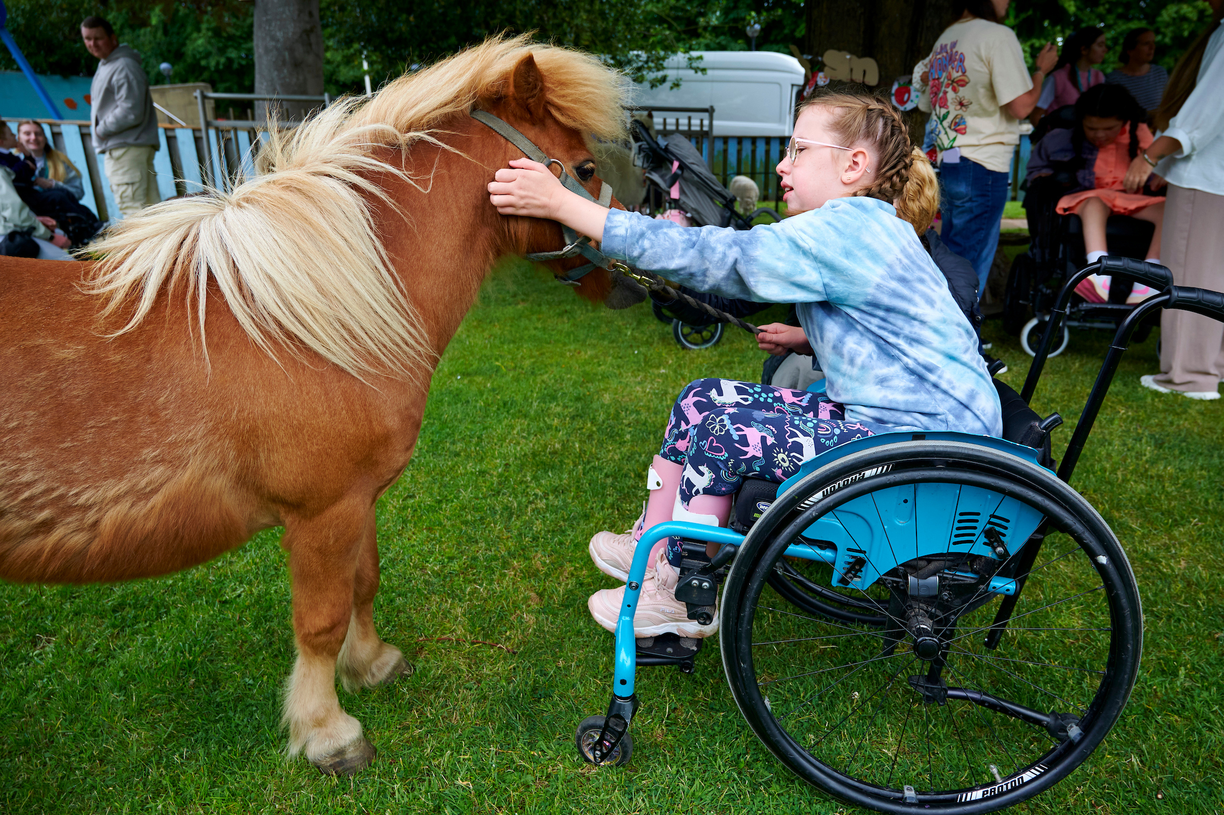 A young girl in a wheelchair pats the head of a small brown pony.