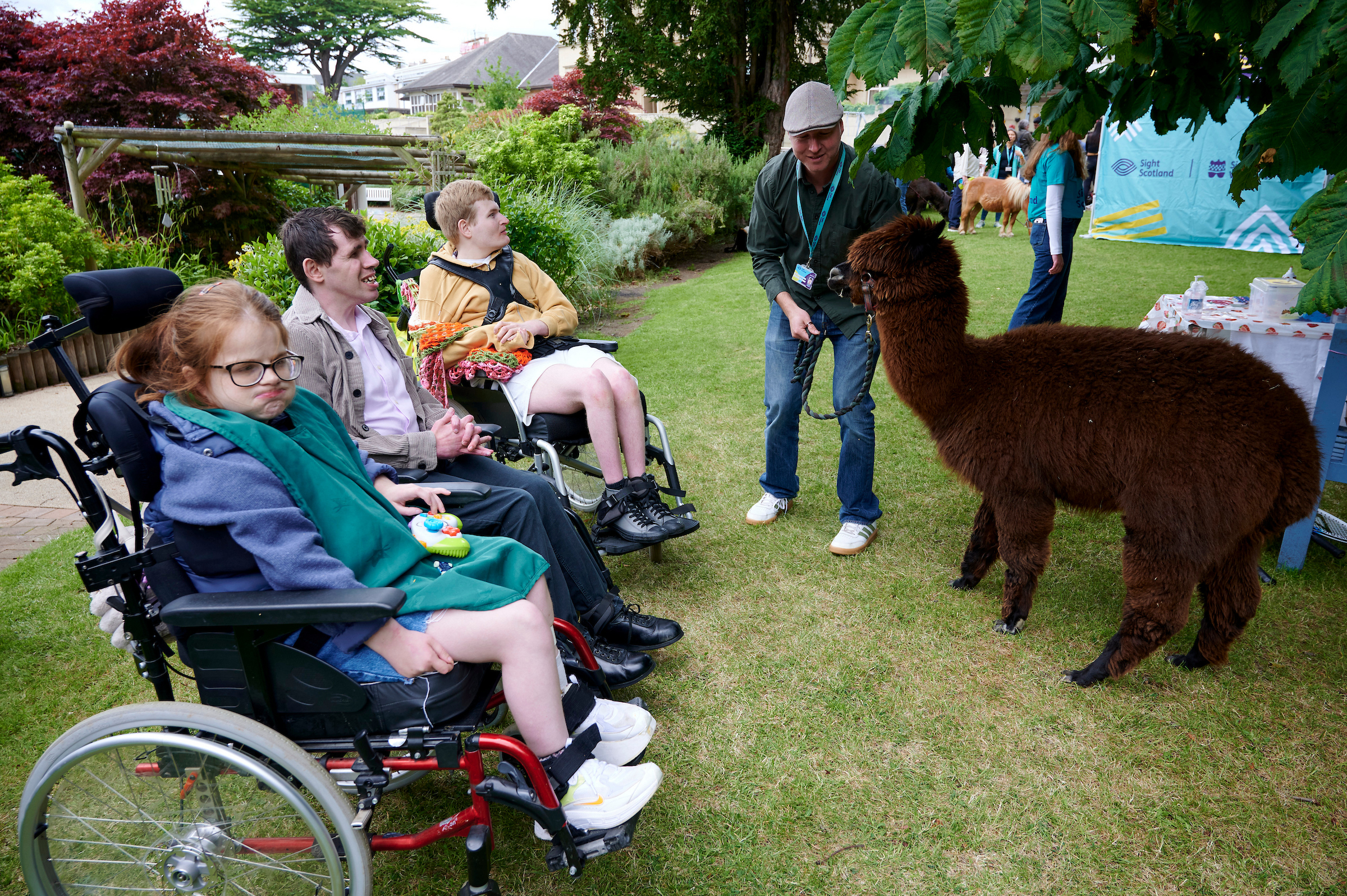 Three young people in wheelchairs outside in front of a man and a dark brown llama
