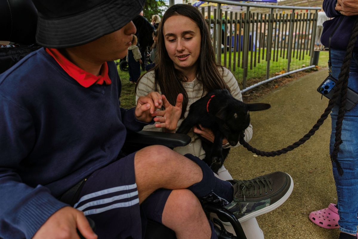 A woman and a boy in a wheelchair pet a small black goat