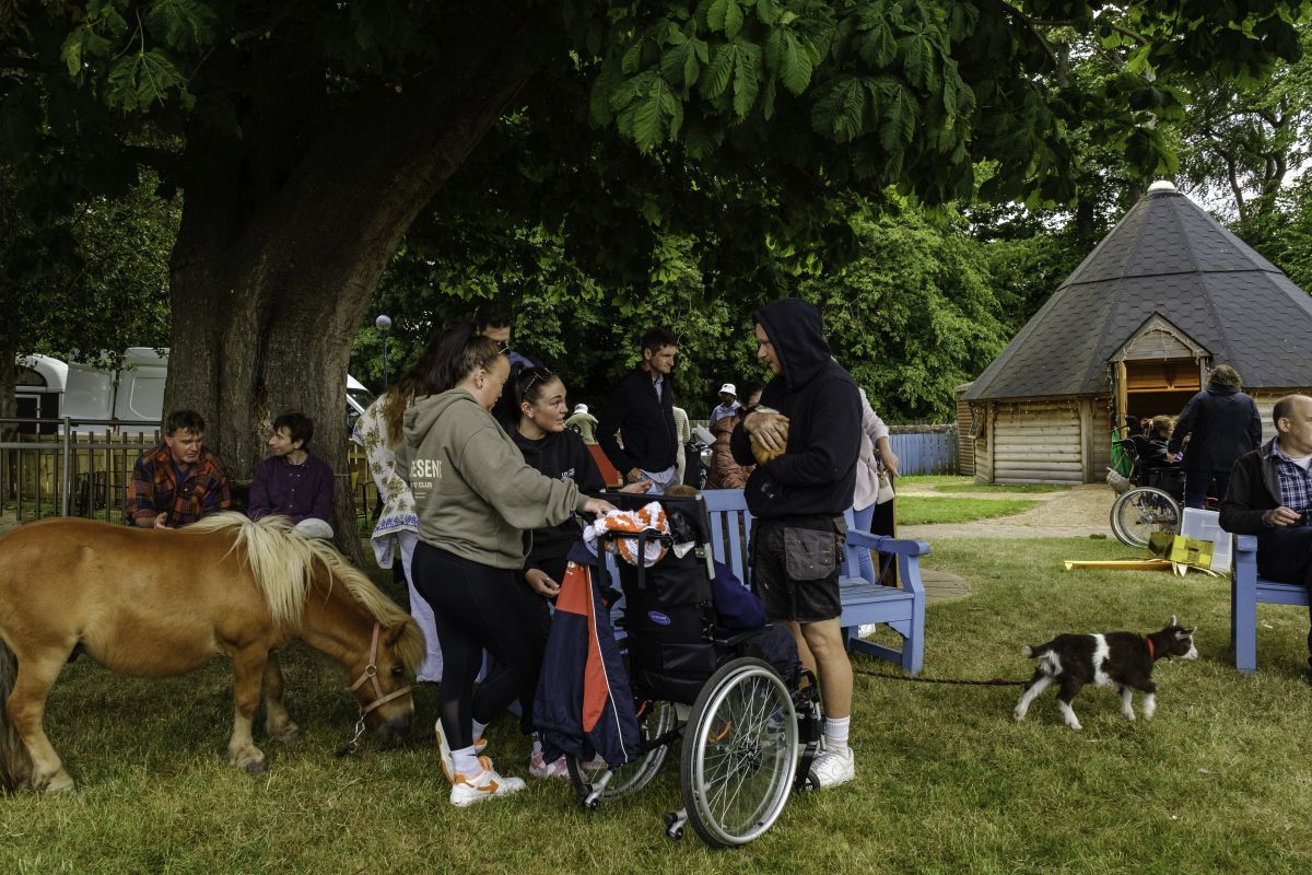 Pupils and their families gather outside in the garden of the school grounds and pet and stroke the many animals.