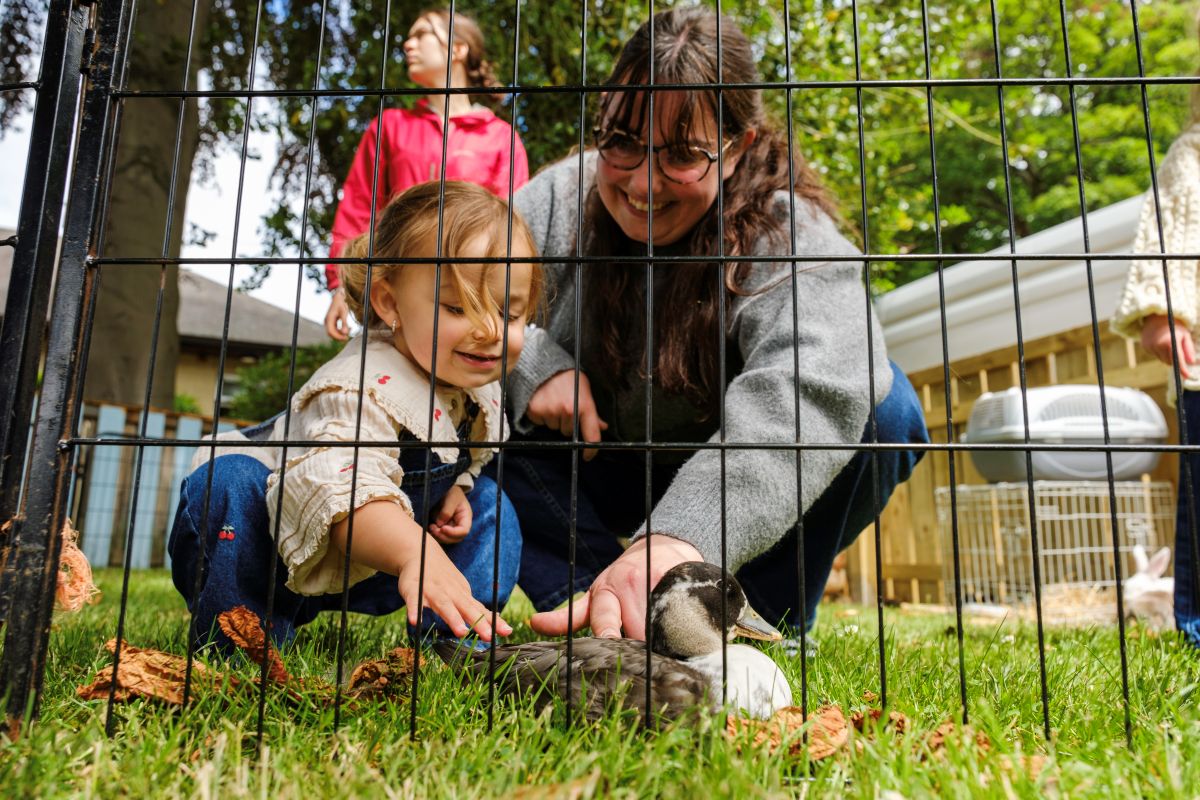 A small child and woman crouch down in the grass behind a metal fence to stroke a duck