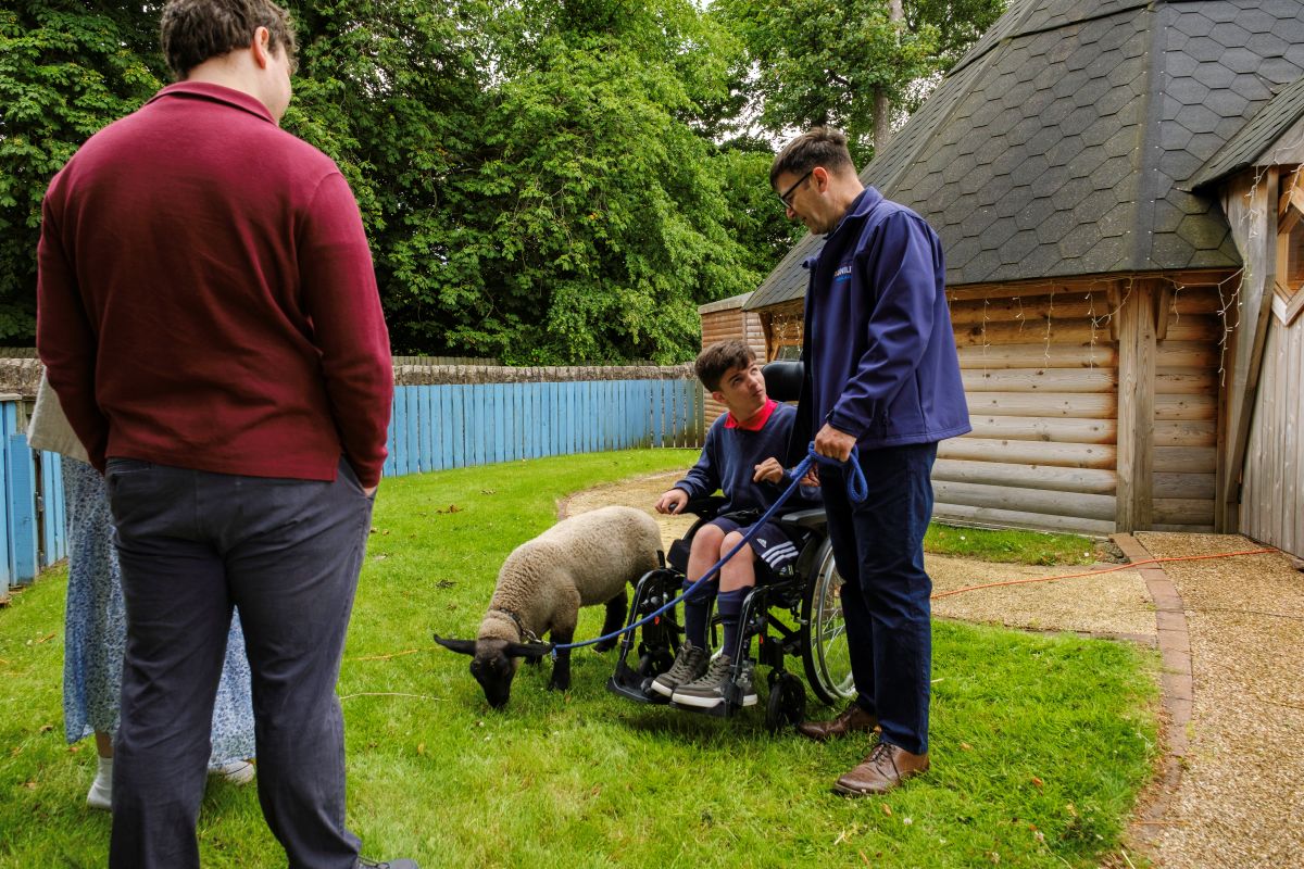 A boy in a wheelchair and two adults stand next to a sheep in the school gardens at the Royal Blind School Family Fun Day 2026
