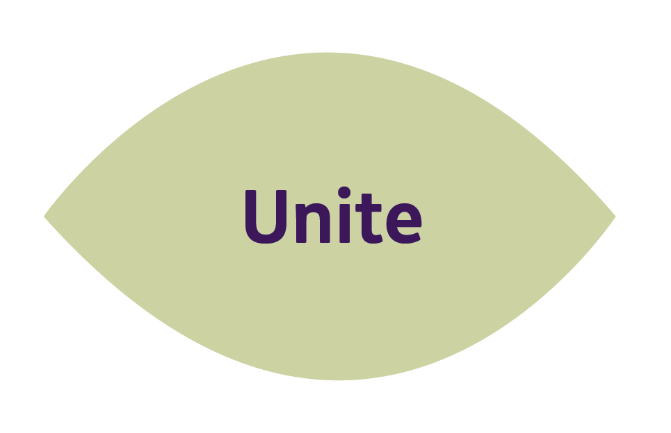 Unite Icon