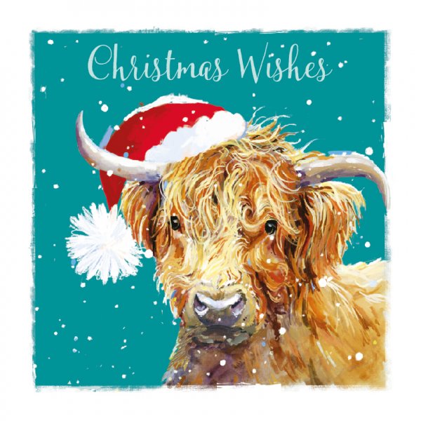 Give a Highland Cow card this Christmas and put a smile on everyone’s face. Photo for fundraising store