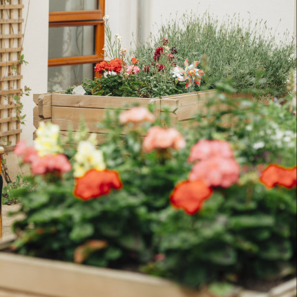 Resident Violet and a staff member chat in a courtyard filled with roses at Braeside House